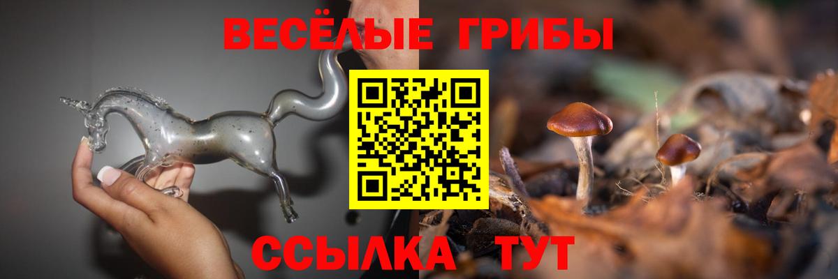 Галлюциногенные грибы Cubensis Пыть-Ях
